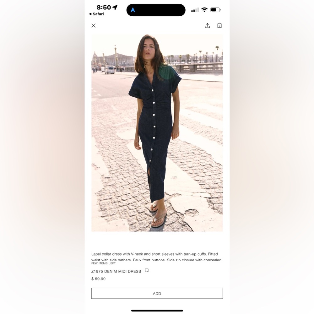 Zara Denim Button-Down Dress